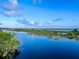 Wildlife and wetlands in Kumana National Park