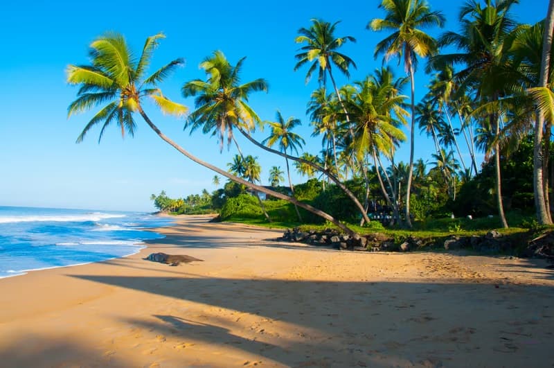Bentota, Sri Lanka