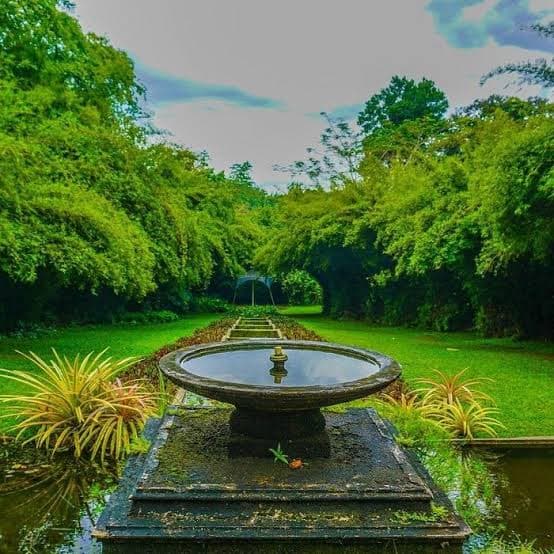Brief Garden near Bentota in Sri Lanka