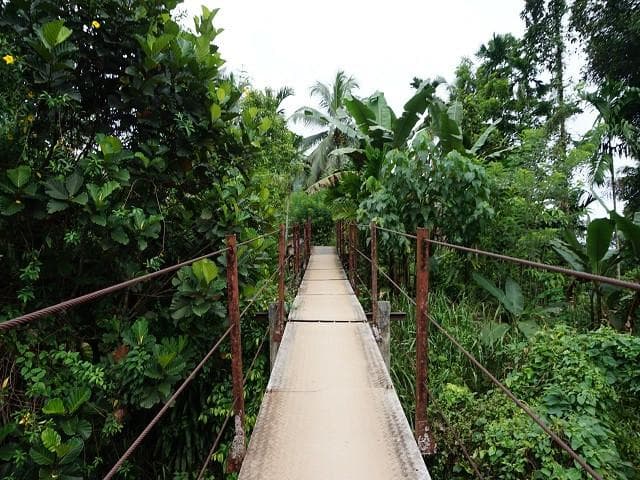 Bridge across a river landscape in Kitulgala Sri Lanka