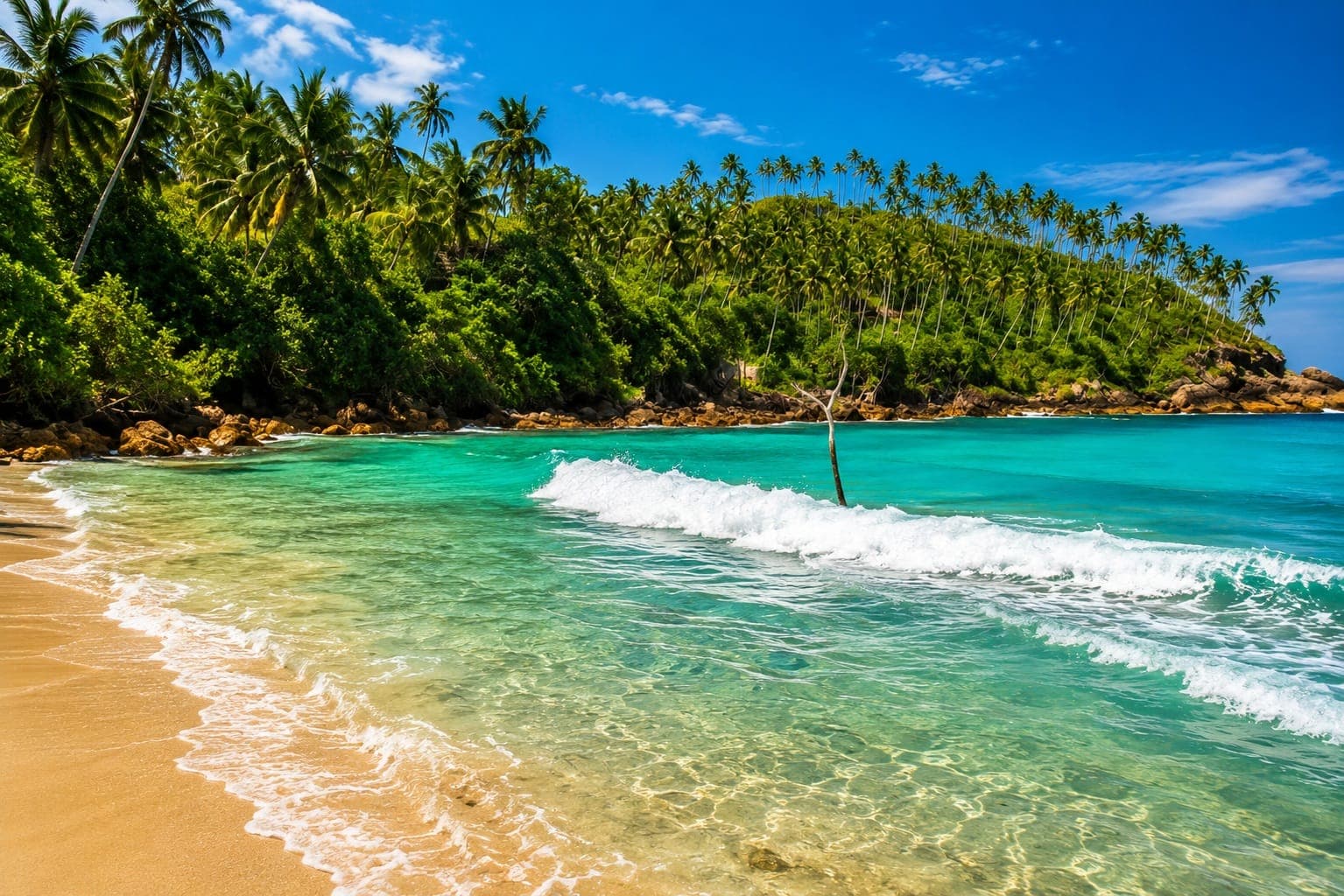 Tropical beach, palm trees and turquoise sea near Mirissa, Sri Lanka