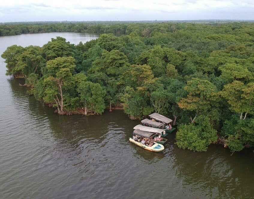 Muthurajawela wetland landscape near Negombo Sri Lanka
