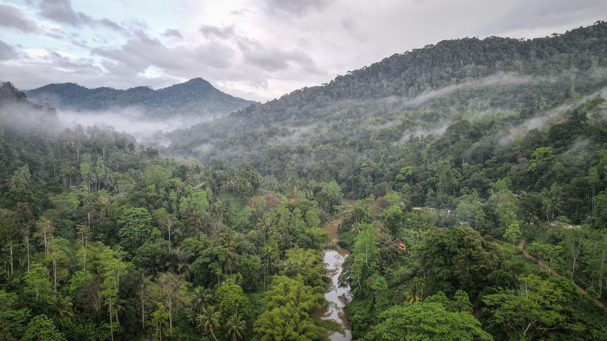 Sinharaja Forest Reserve tropical landscape in Sri Lanka