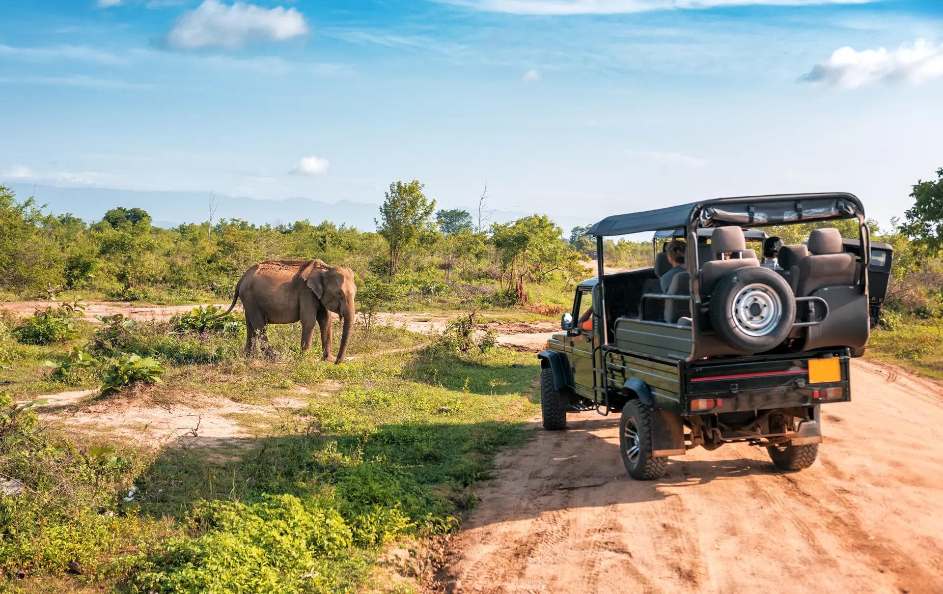 Safari jeep experience in Udawalawe National Park