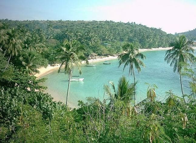 Snorkelling experience in the tropical waters around Unawatuna