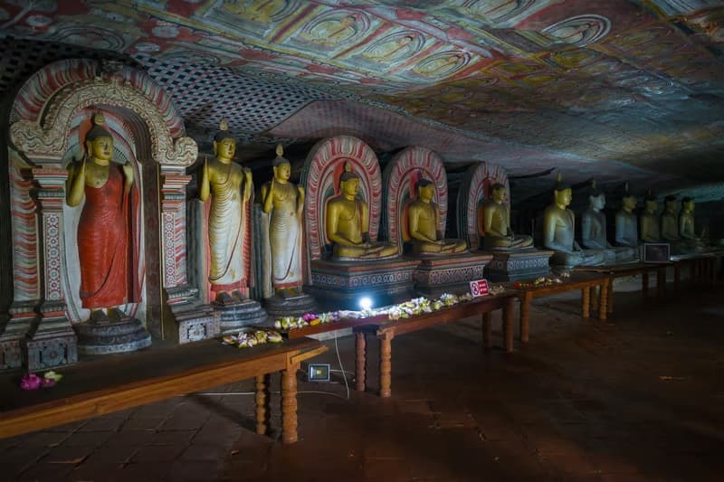 Students learning about Sigiriya Rock Fortress