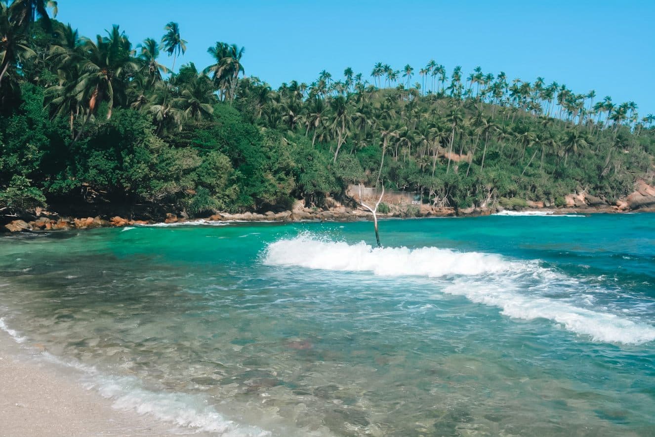 Tropical beach and turquoise sea in Mirissa, Sri Lanka