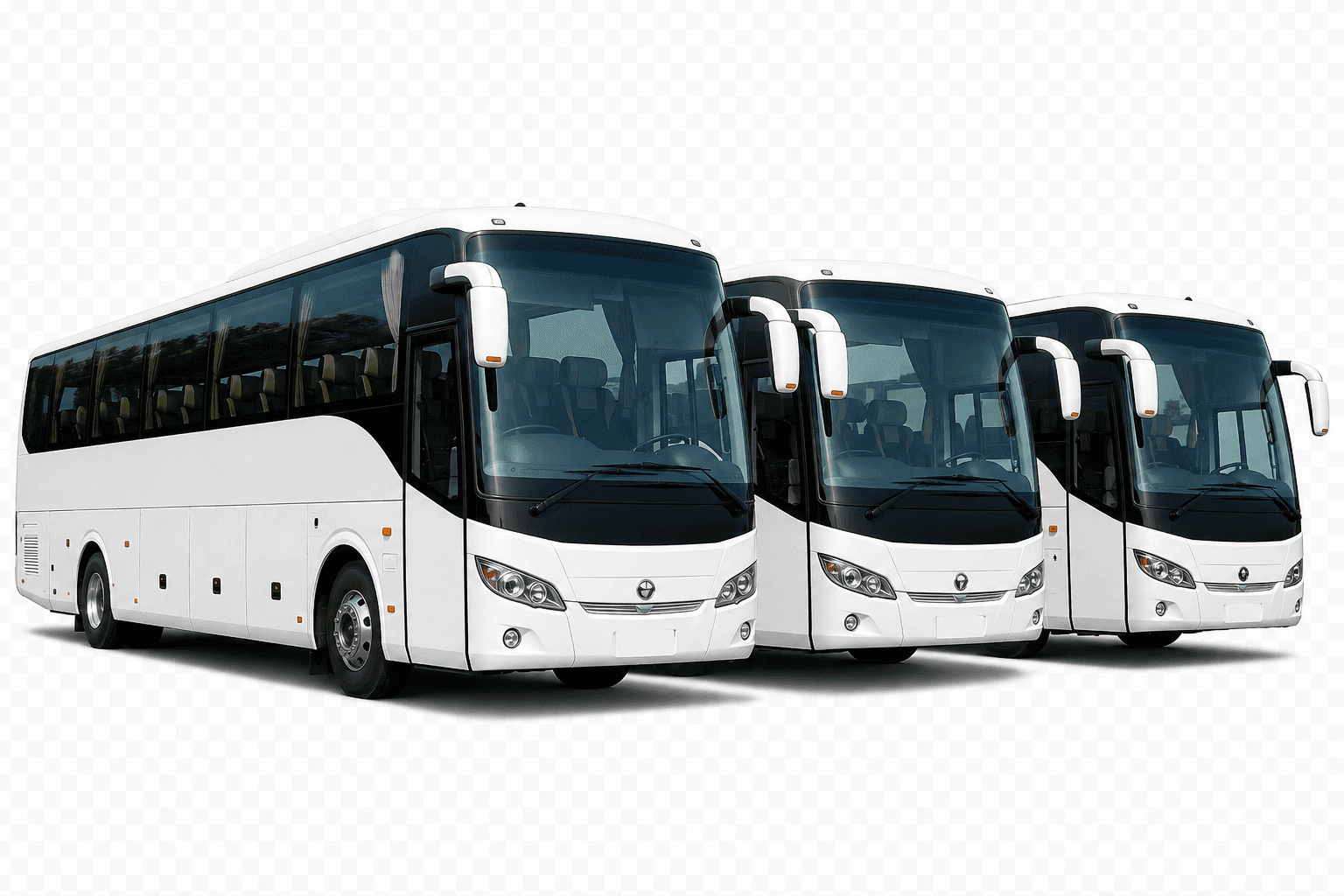 Private Sri Lanka coach fleet