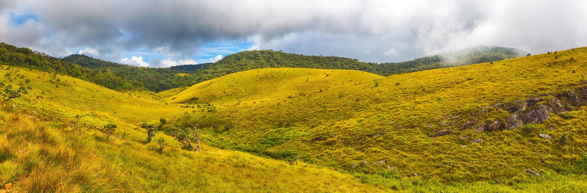 Horton Plains National Park landscape in Sri Lanka