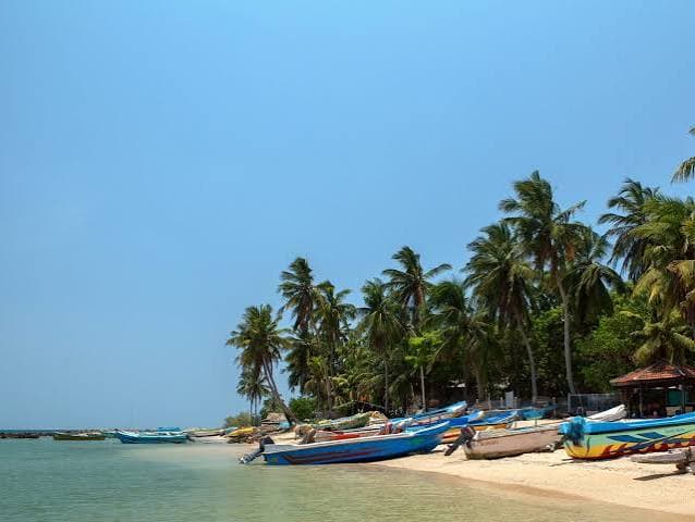 Northern coastal landscape near Point Pedro