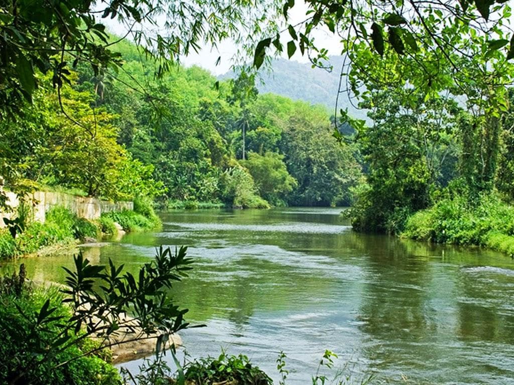 Kelani River and rainforest at Kitulgala Sri Lanka