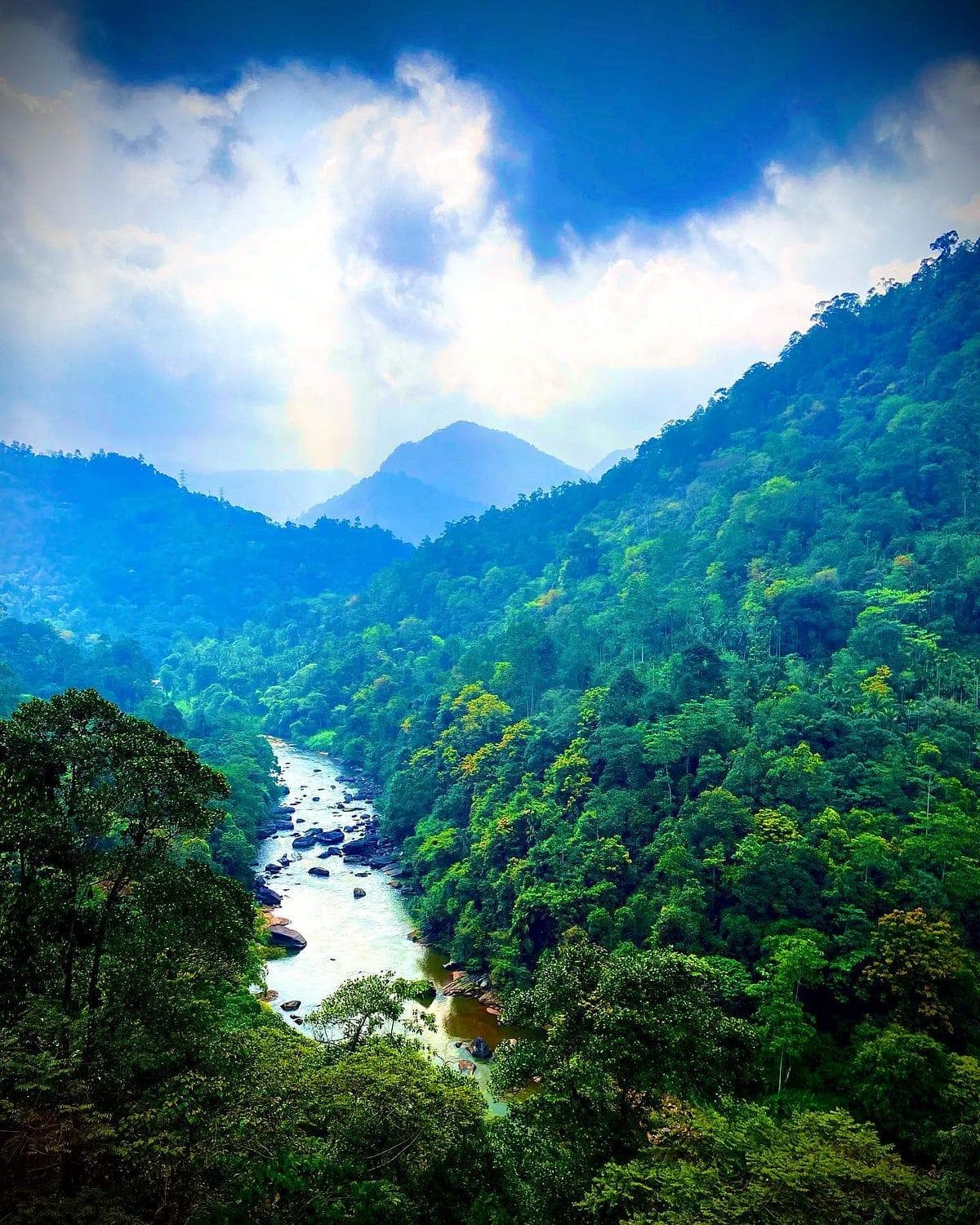 Green tropical landscape surrounding Kitulgala Sri Lanka
