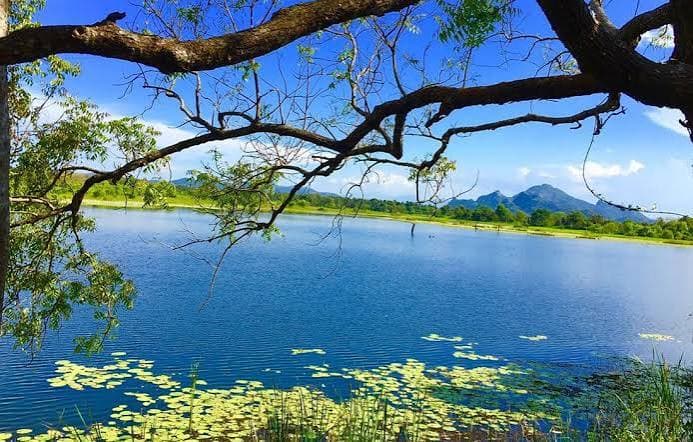 Natural landscape near Habarana and Minneriya